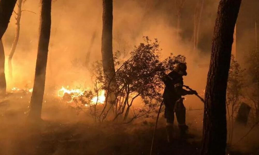 Μητρόπολη Αλεξανδρούπολης: Aλεύρι απέστειλε στους πυρόπληκτους της Αθήνας
